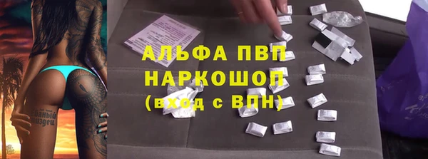 прущие крисы Богданович