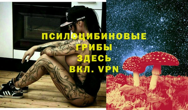 хмурый Бронницы