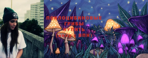 прущие крисы Богданович