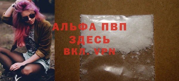 дмт Бородино