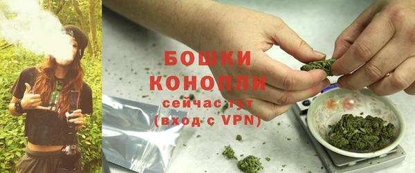 крисы Бугульма
