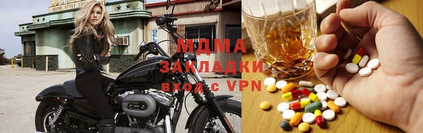 дмт Бородино