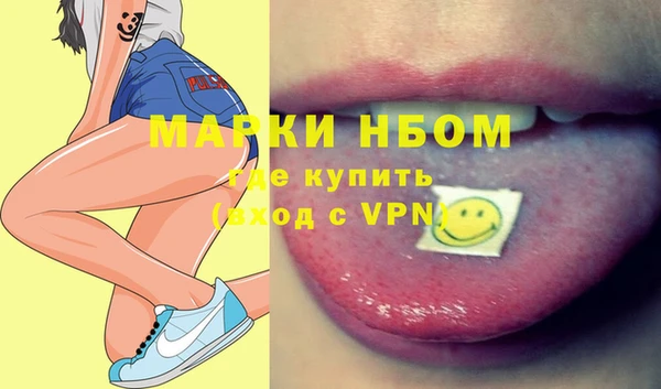 дмт Бородино