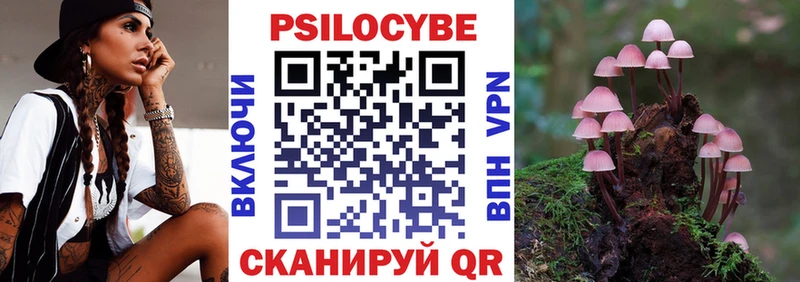 что такое наркотик дарк нет Telegram Галлюциногенные грибы Cubensis Краснозаводск